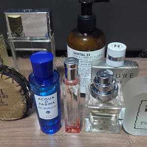 디올 옴므 하이어 / 산타 마리아 노벨라 루사 / TDC 베르가못 / 에르메스 오 지브레 / 샤넬 옴므 블랑쉐 / 아쿠아 디 파르마 피코 아말피 / 에르메스 오스망뜨 유난 / 디젤