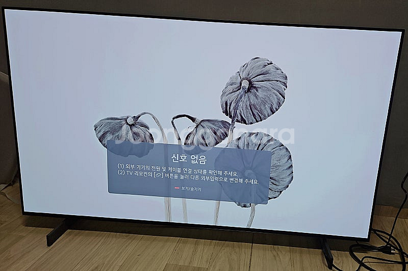 Lg Oled tv 42c4kna 42인치 24년 11...--0