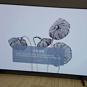 Lg Oled tv 42c4kna 42인치 24년 11월제조 4k올레드 티비 모니터