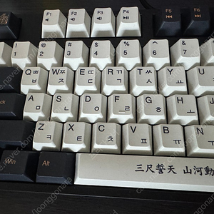 덱 거북선 프랑슘 갈축 판매합니다