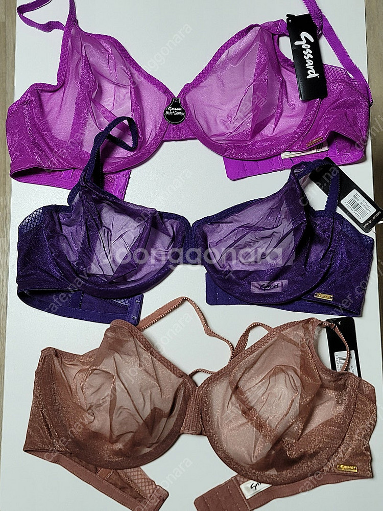고사드 글로시브라 80E (36D) <미사용 새상품>--1