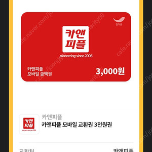카앤피플 3천원권 (800원)