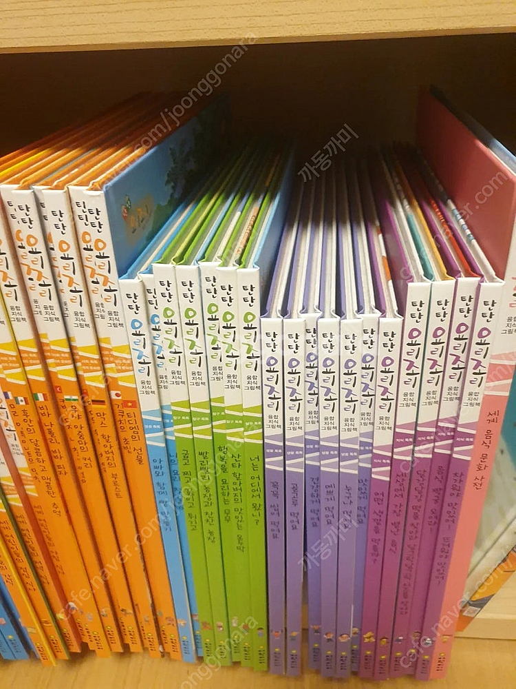 탄탄요리조리 융합지식그림책 세계문화 택포--2