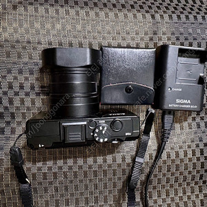 시그마 dp2s