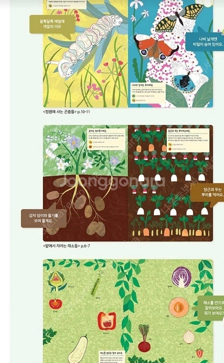 별똥별 나의 자연 수첩 급처분--2