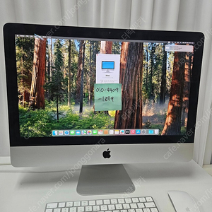 아이맥 2019년 21.5인치 램8 / 3.6Ghz i3 / 라데온 555X 2GB / 256G SSD