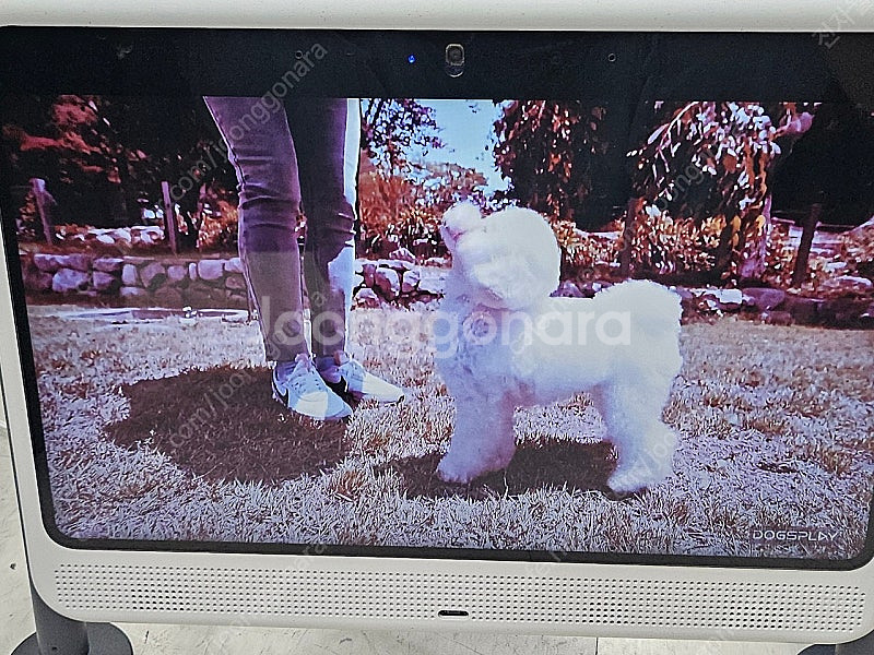 독스플레이 반려견, 반려묘 TV, 양방향 홈캠, 펫 T...--0