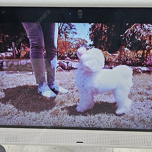 독스플레이 반려견, 반려묘 TV, 양방향 홈캠, 펫 TV 풀박스, 강아지, 고양이