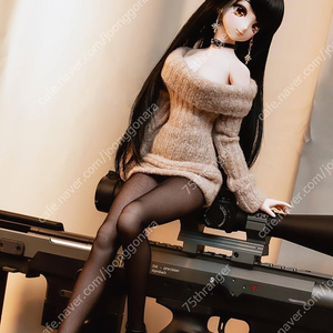 보크스 볼크스 VOLKS DDS 구체관절 인형 여자피규어 나나오 유리코