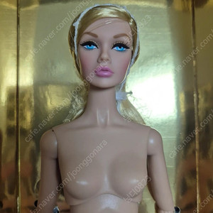 포피파커 팝니다