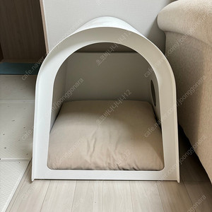 안단테하우스301 (강아지집)