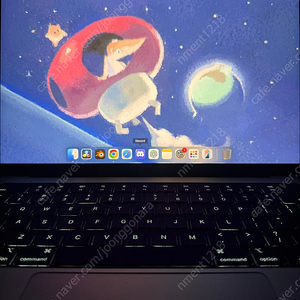 맥북 프로 14인치 m4pro 14코어(풀칩) 48gb 1tb 실버
