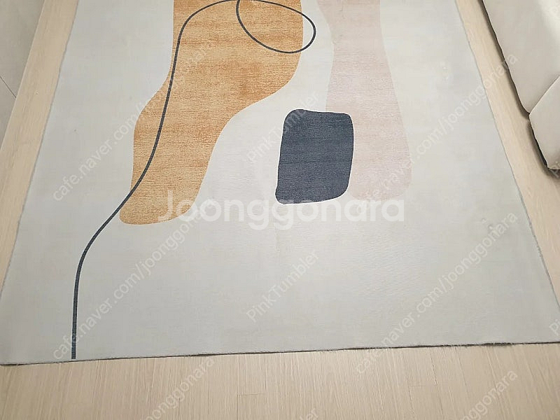 대형 러그, 대형 카페트, 아트 빈백, 한샘 듀이 노르...--8