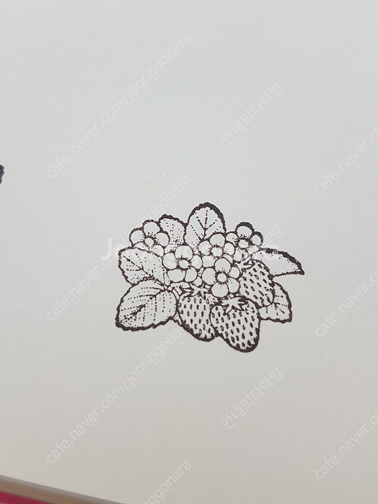 미국 히어로아츠 빈티지 스탬프 다꾸 식물 테디베어 꽃--6