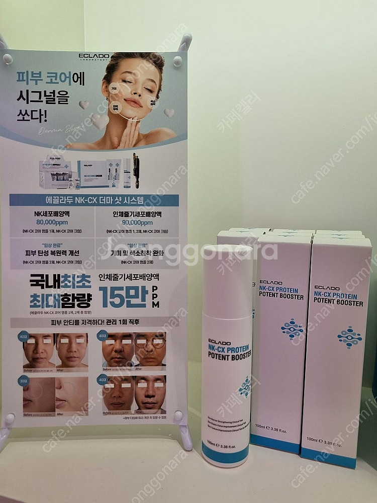 피부샵정리 샵가이하 / 에끌라두 NK-CX 프로틴 포텐 부스터 크림 앰플 택포--0