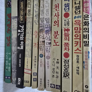시드니셀던 소설 모음 11권