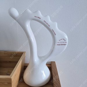 비바괄사 새상품