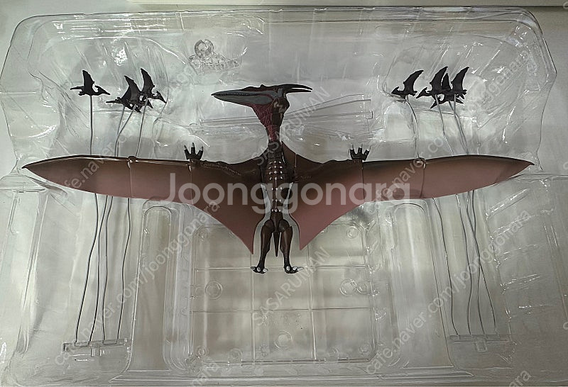 SH몬스터아츠 고지라 SP 싱귤러포인트 라돈--1