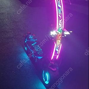 위페드삽니다