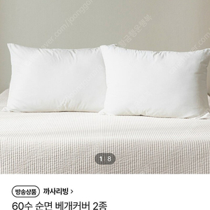 까사리빙 순면워싱 피그먼트 베개커버 2종 (새상품)