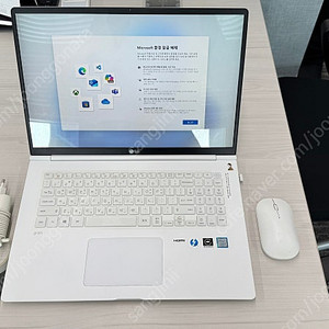 LG Gram 17Z990-VA50K 노트북
