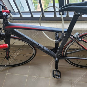 로드 자이언트 TCR 105