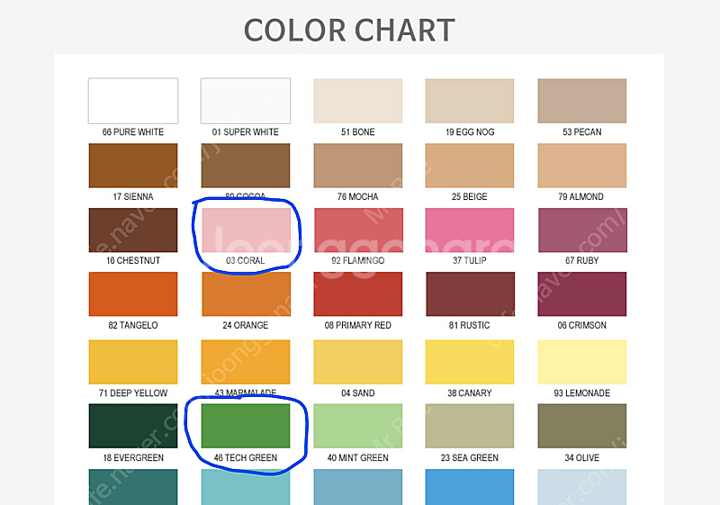 Savage 사베지(2.72m X 11m) 배경지--4