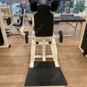 옥시즌 듀얼폴리 브이스쿼트