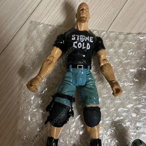 WWE 잭스 피규어 일괄