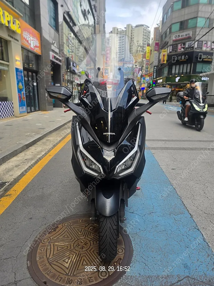24년식 포르자350 이미지