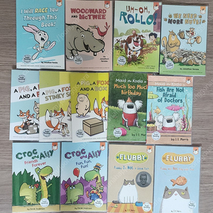 브릿지 리더스 13권