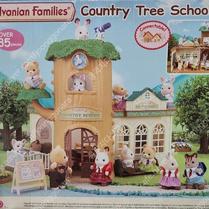 실바니안 컨트리 스쿨