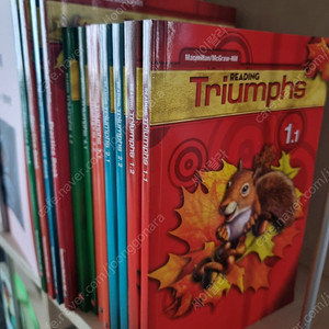 트라이엄프(Triumphs) 미교 풀셋