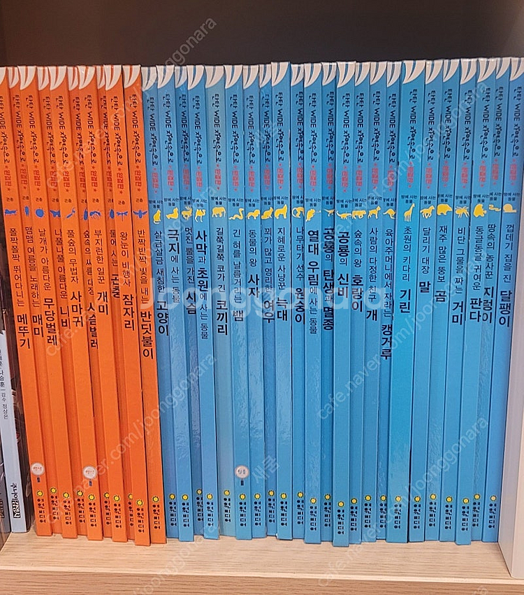 탄탄 와이드 자연속으로 완결판 100권--0