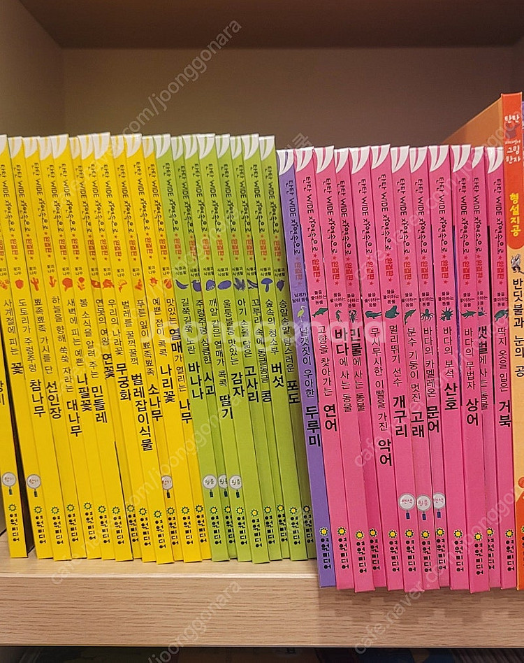 탄탄 와이드 자연속으로 완결판 100권--2