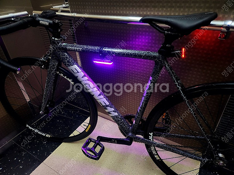 픽시 엔진11 볼텍스 2024--0