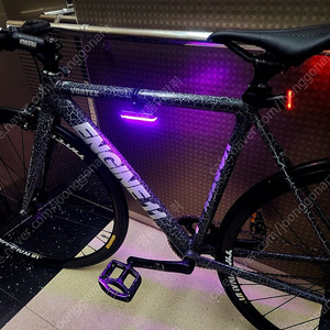 픽시 엔진11 볼텍스 2024