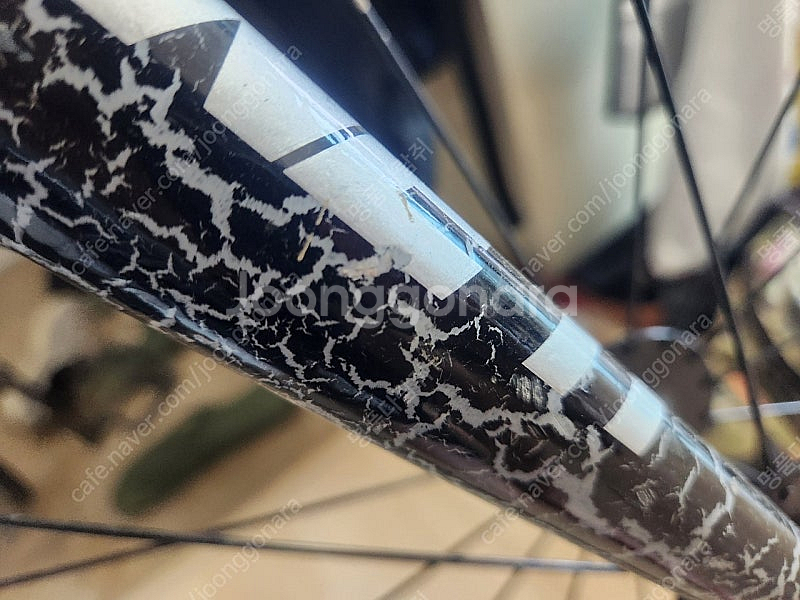 픽시 엔진11 볼텍스 2024--2