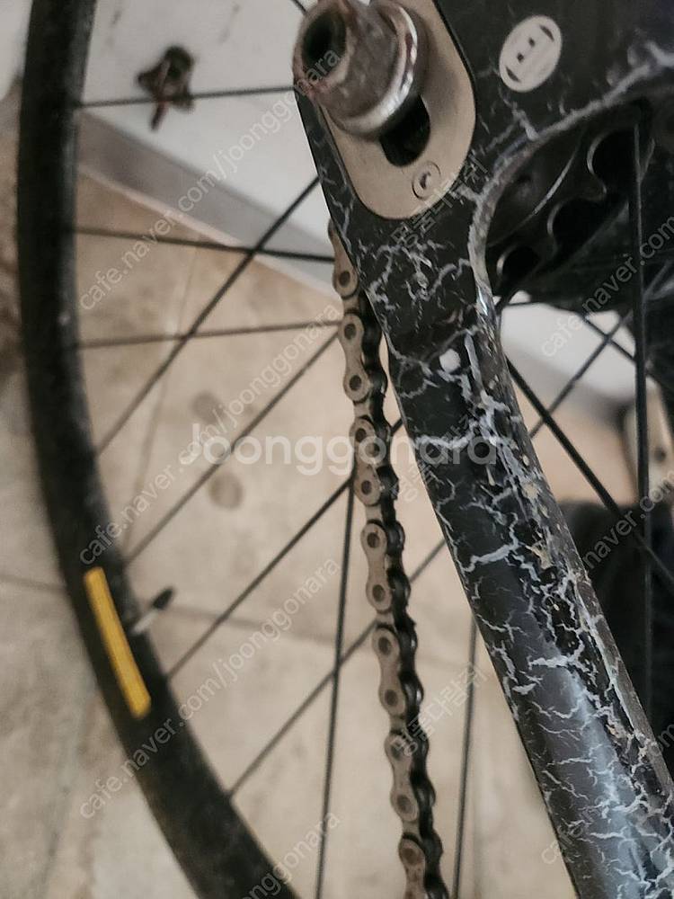 픽시 엔진11 볼텍스 2024--4