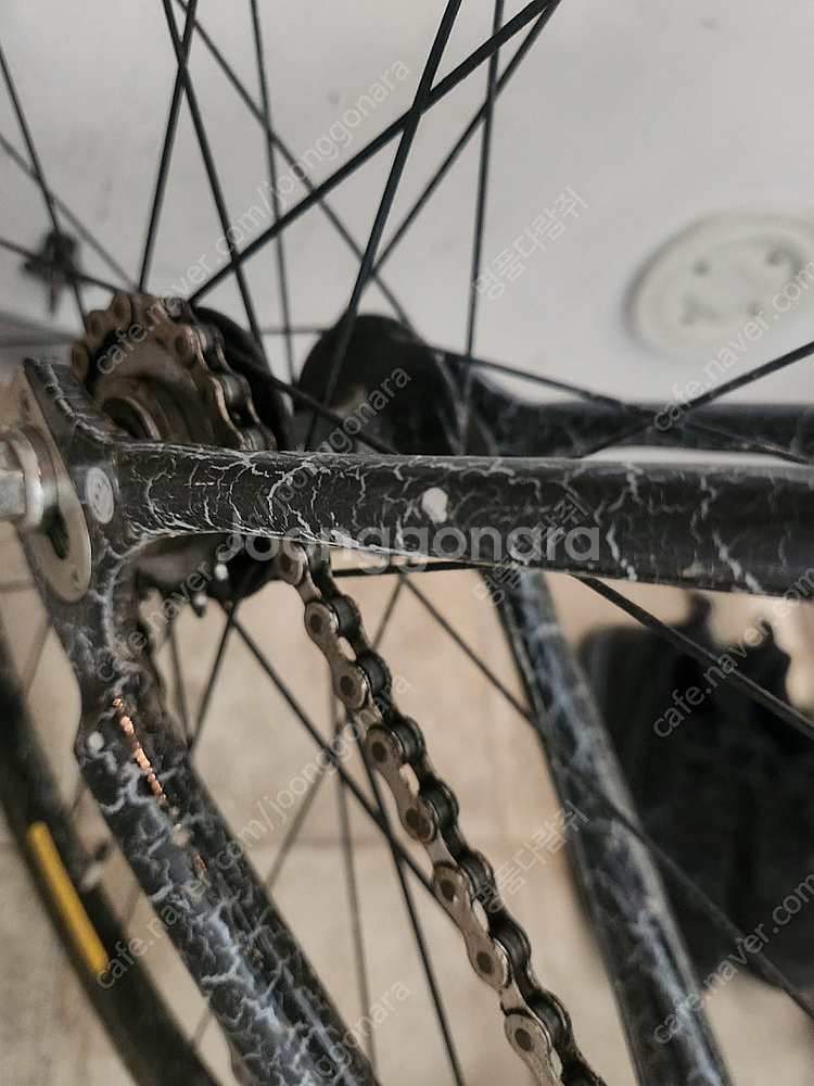 픽시 엔진11 볼텍스 2024--5