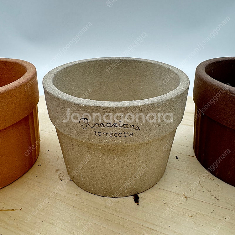 로자리안토분 3종 세트 택포--2