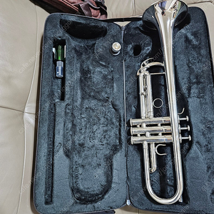 트럼펫ytr-850 커스텀 이미지