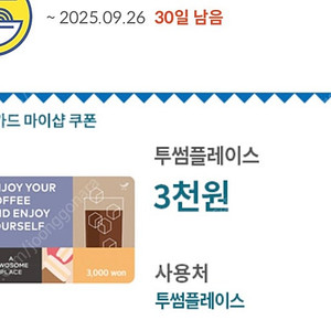 투썸플레이스 3천원권 투썸 (잔액관리O)