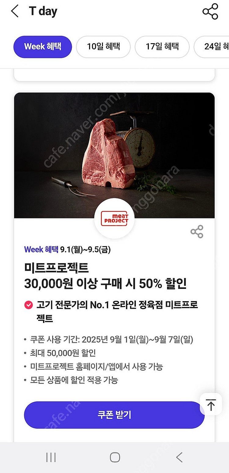 티데이 처갓집 셀러디 롯데월드 모아진 CGV 콤보 미트프로젝트--2