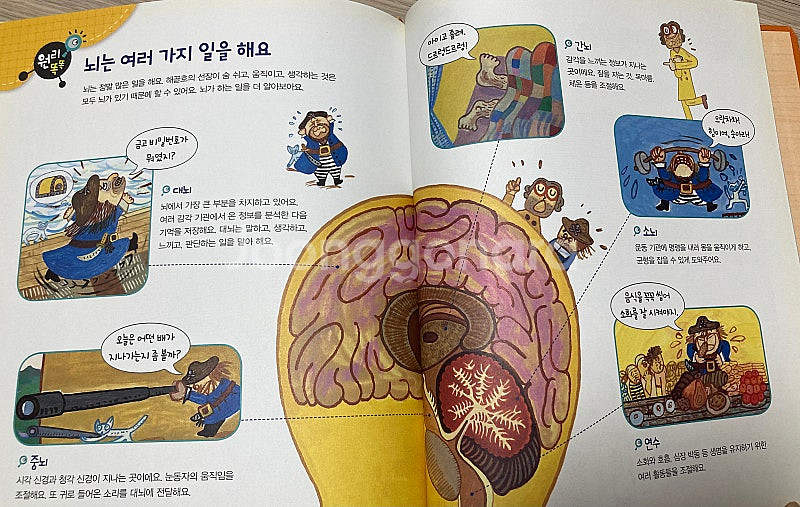 [팝니다] 아람북스 과학도깨비(54권 + 55 과학 개...--3