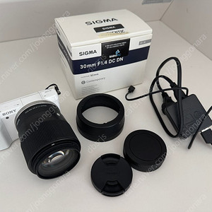 (거격조정) 소니 A5100 바디 + 시그마 30.4