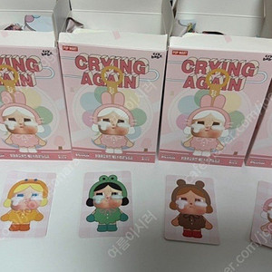 크라이베이비 곰 (정품)