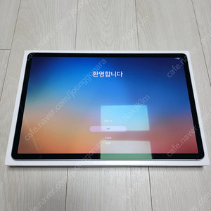 갤럭시탭 S10 플러스 5G 256GB 문스톤 그레이
