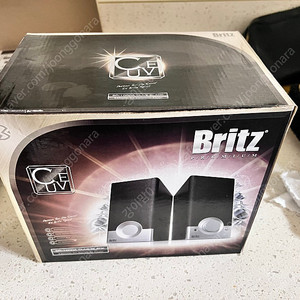 브리츠 1000 스피커 BR-1000A Cuve Black