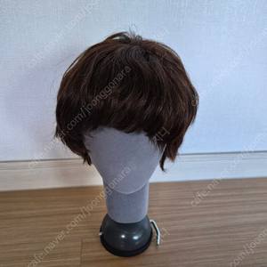 박승철위그 100%인모 항암가발